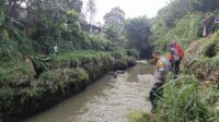 IMG-20260703-WA0132