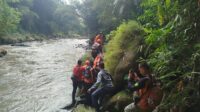 IMG-20260704-WA0037