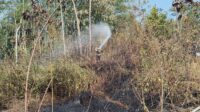 IMG-20260725-WA0031