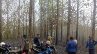 IMG-20260818-WA0047